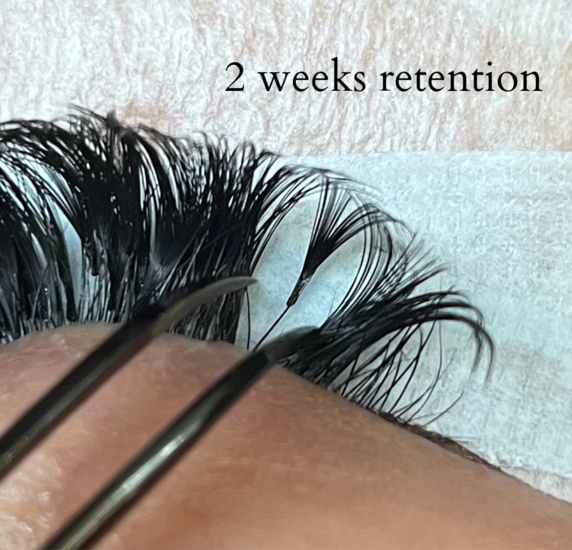 Lash Adhesive